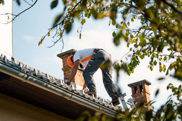 Best Flat Roof Repair Services  in Arnold, CA